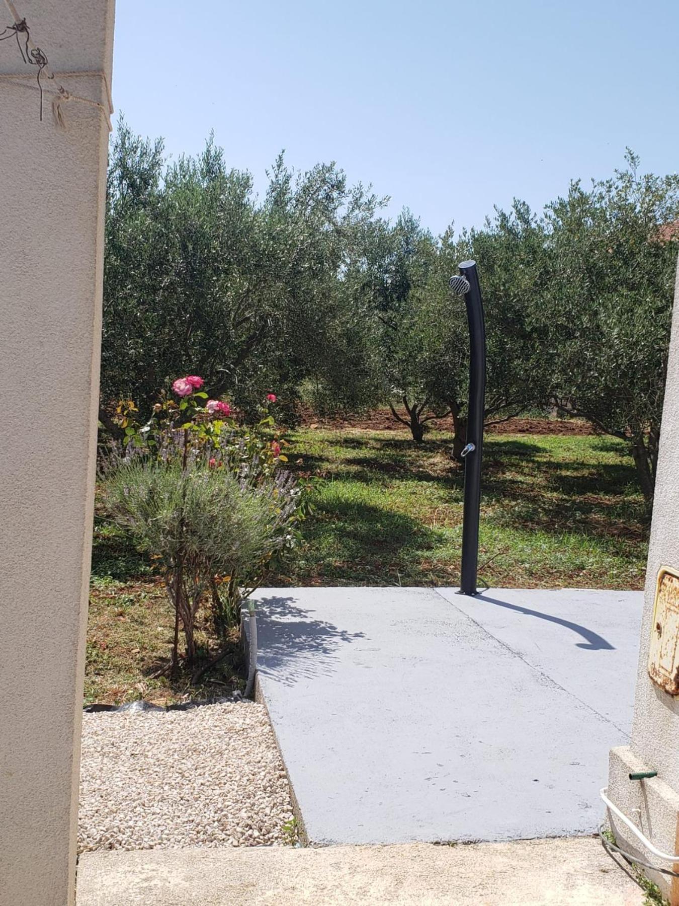 דוברופוליינה Apartmani Ciklic מראה חיצוני תמונה